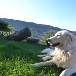 Tenuta Lapone *
