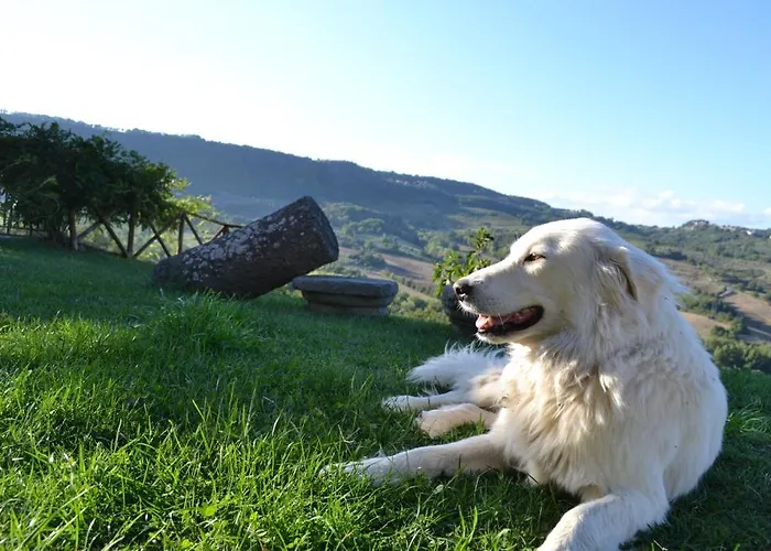 拉博尼农庄酒店 *